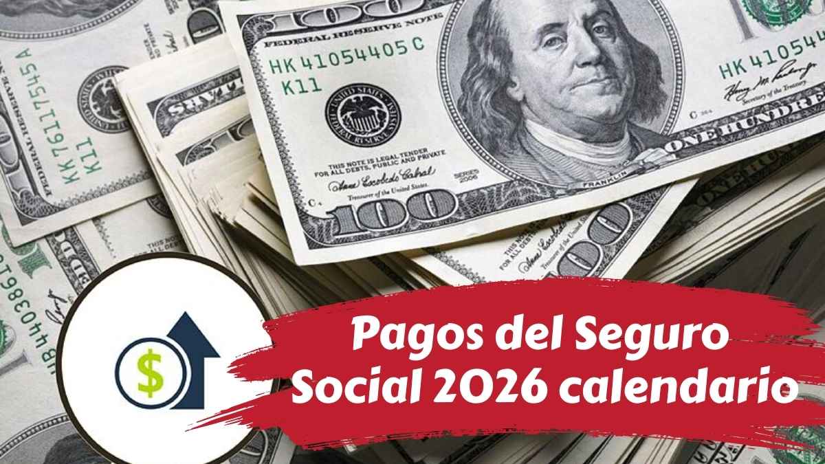 Pagos del Seguro Social 2026 calendario oficial y cifras para jubilados